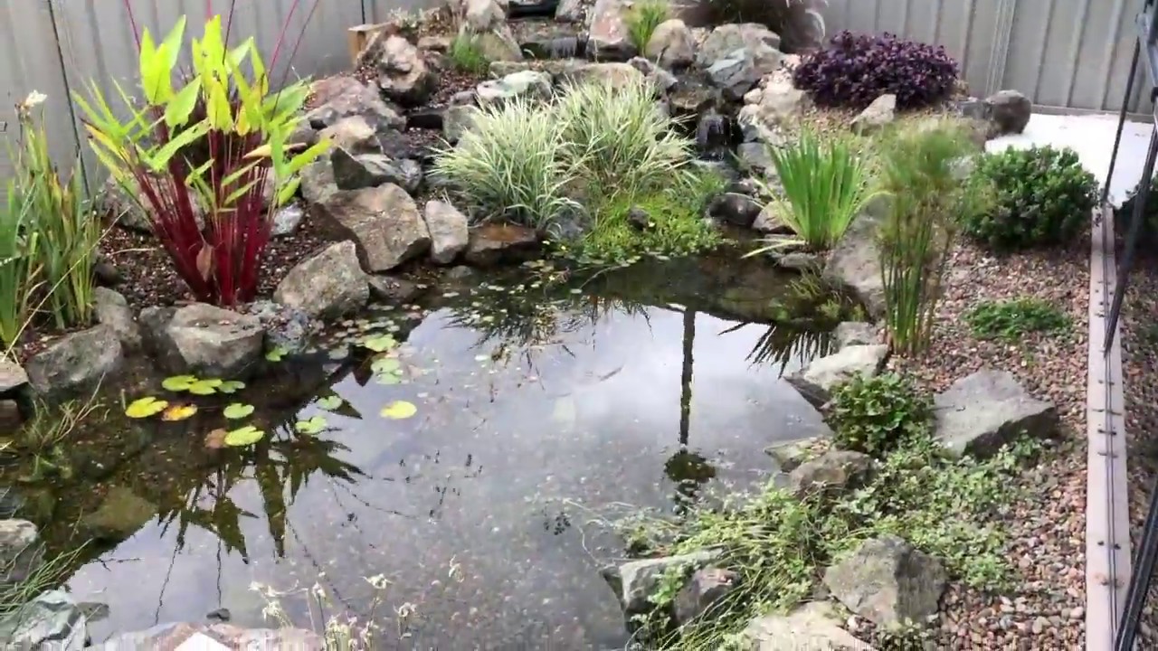 Ecosystem Pond Installation: Fern Bay, NSW - December 2017
