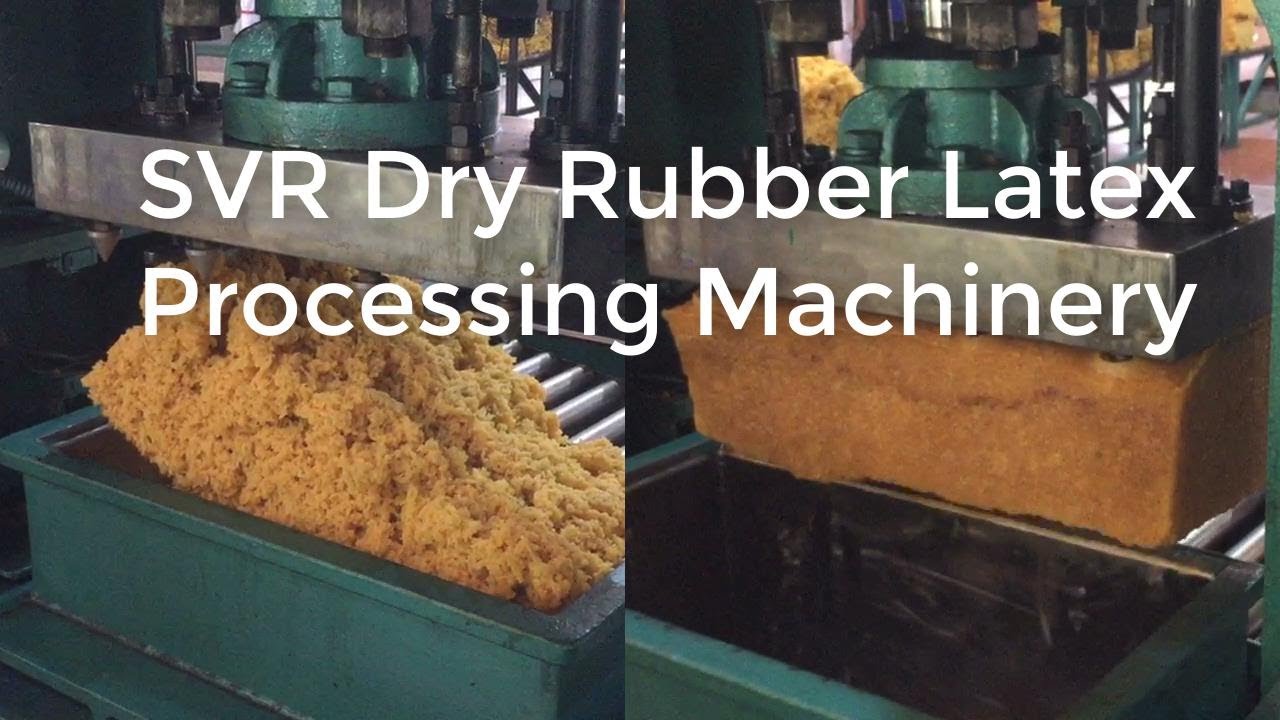 SVR Dry Rubber Latex Processing Machinery TSR RUBBER MAKING MACHINE | lifeandlearn