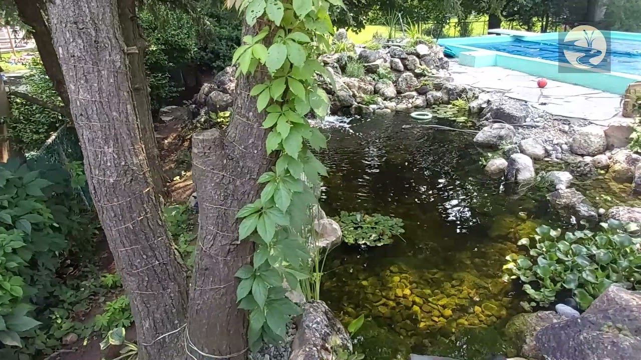 15x20 pond sample video