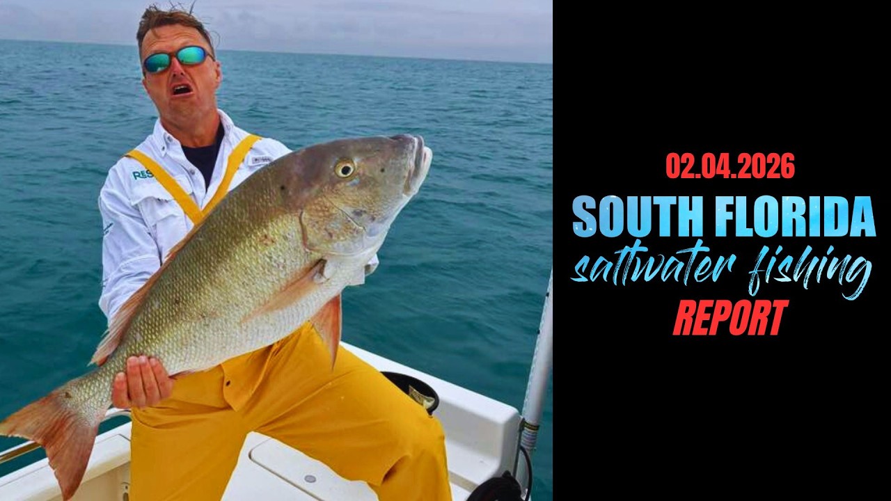 SOUTH FLORIDA SALTWATER FISHING REPORT (02/04/2026)