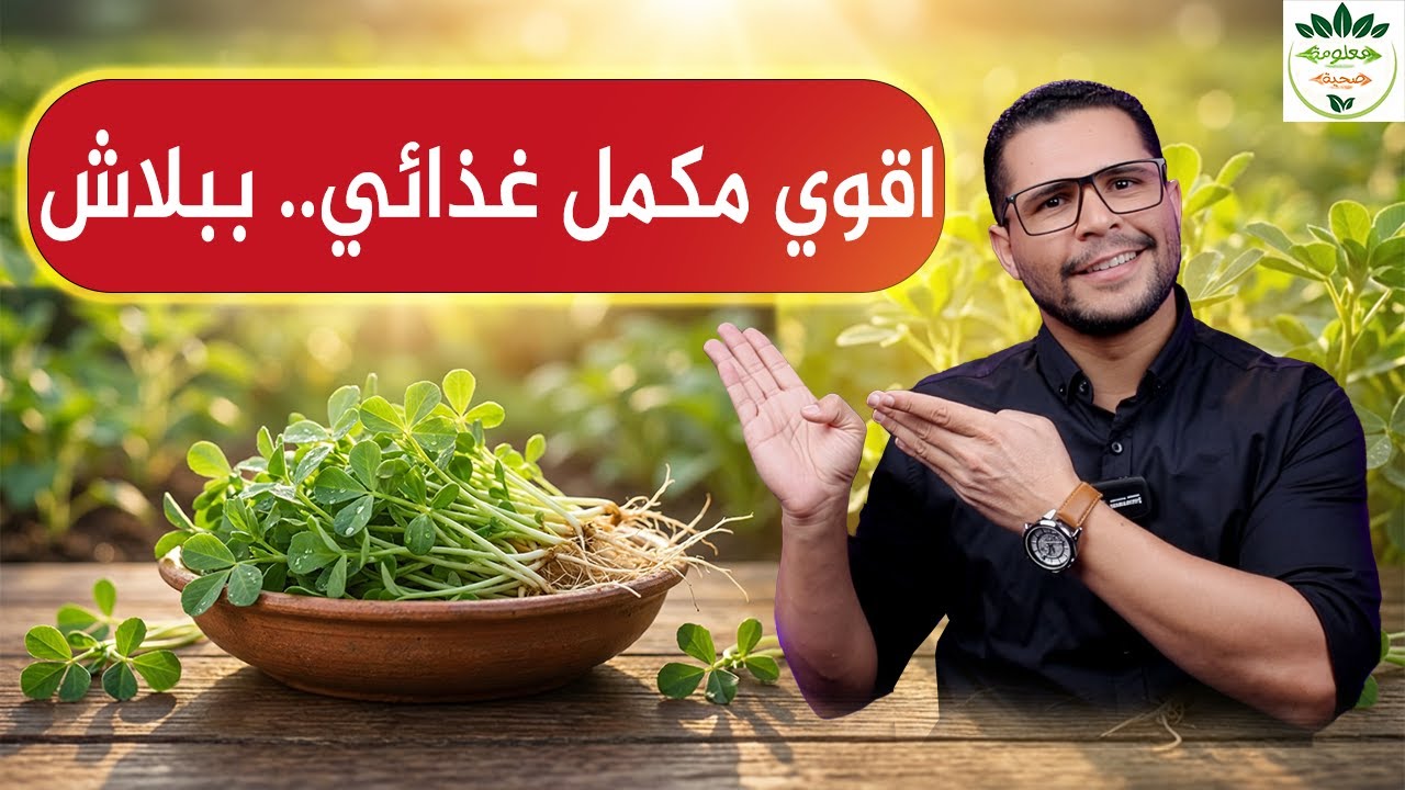 كنز في بيتك اقوي مكمل غذائي لصحتك وصحة اولادك