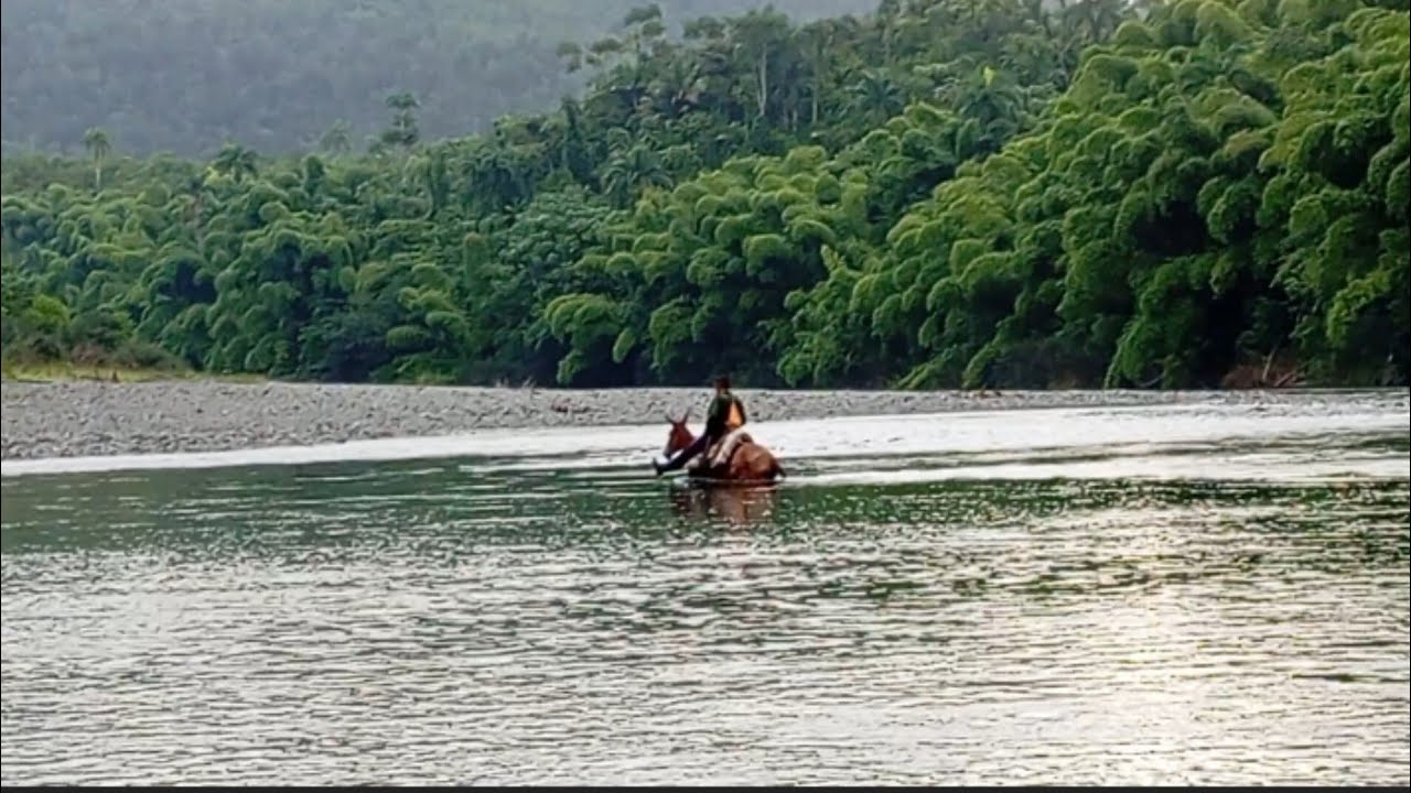Viaje al amanecer:Bellezas ocultas de Quibiján en los campos de Baracoa