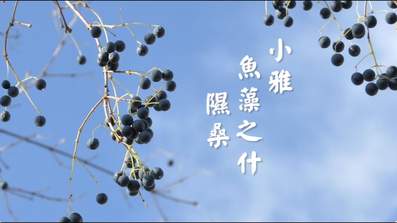 小雅．魚藻之什．隰桑