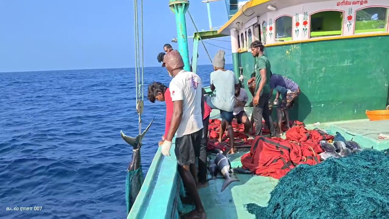 # FISHING WORK 