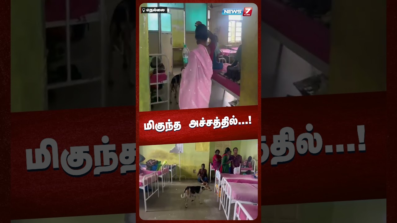 மிகுந்த அச்சத்தில்...! NEWS7 TAMIL