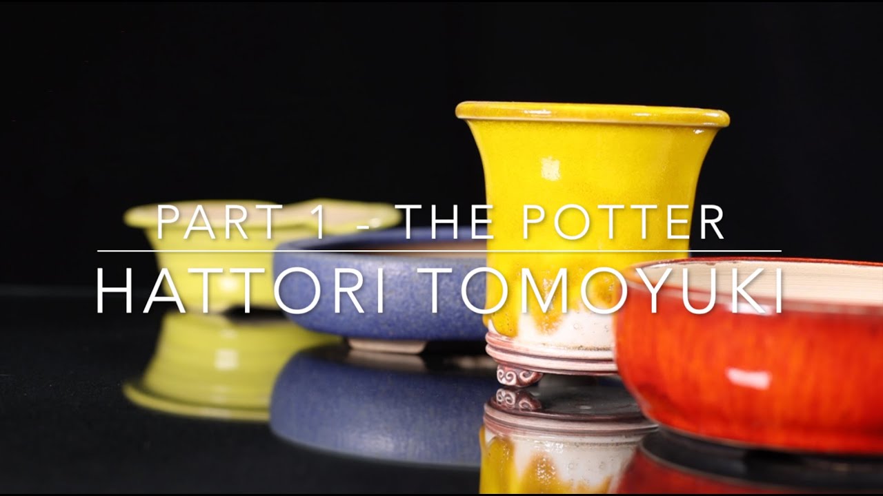 The Bonsai Pots of the Tokoname Potter Hattori Tomoyuki’ 服部