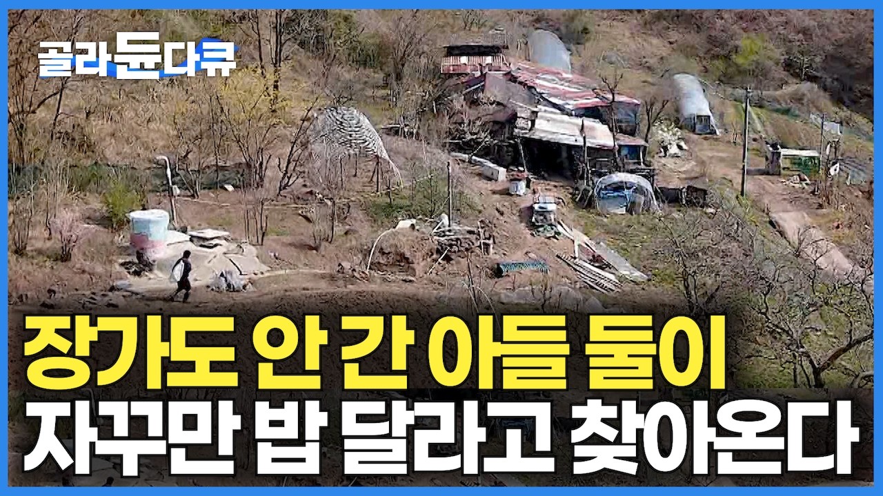 어느새 중년이 된 두 아들. 손주를 안겨줘도 모자랄 판에 결혼도 안 하고 86세 엄마한테 밥 달라고 자꾸만 찾아온다｜깊은 산속 오지 세 가족이 먹고사는 법｜한국기행｜#골라듄다큐