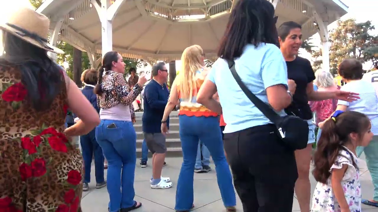 June 25, 2025 – Conerts in the Park - Funky Hippeez