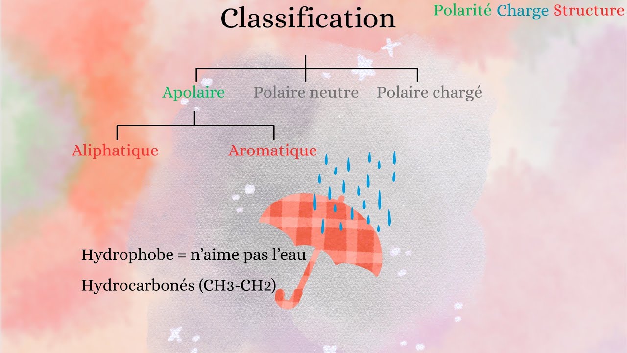 Biochimie | Les acides aminés : Classification