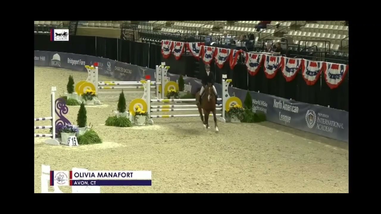 Jump Seat Medal Finals: Jumping Phase - Score 80.5 (First Show Final with Horse)