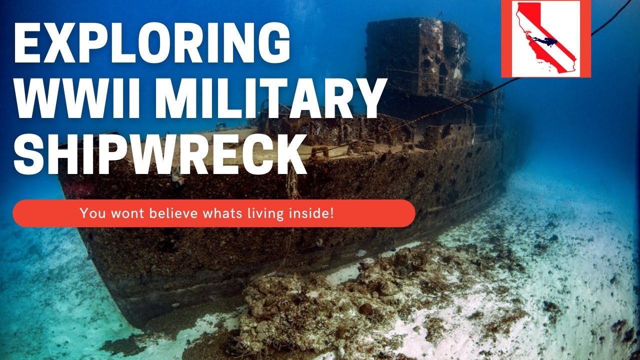 Exploring the C-53 Shipwreck in Cozumel!