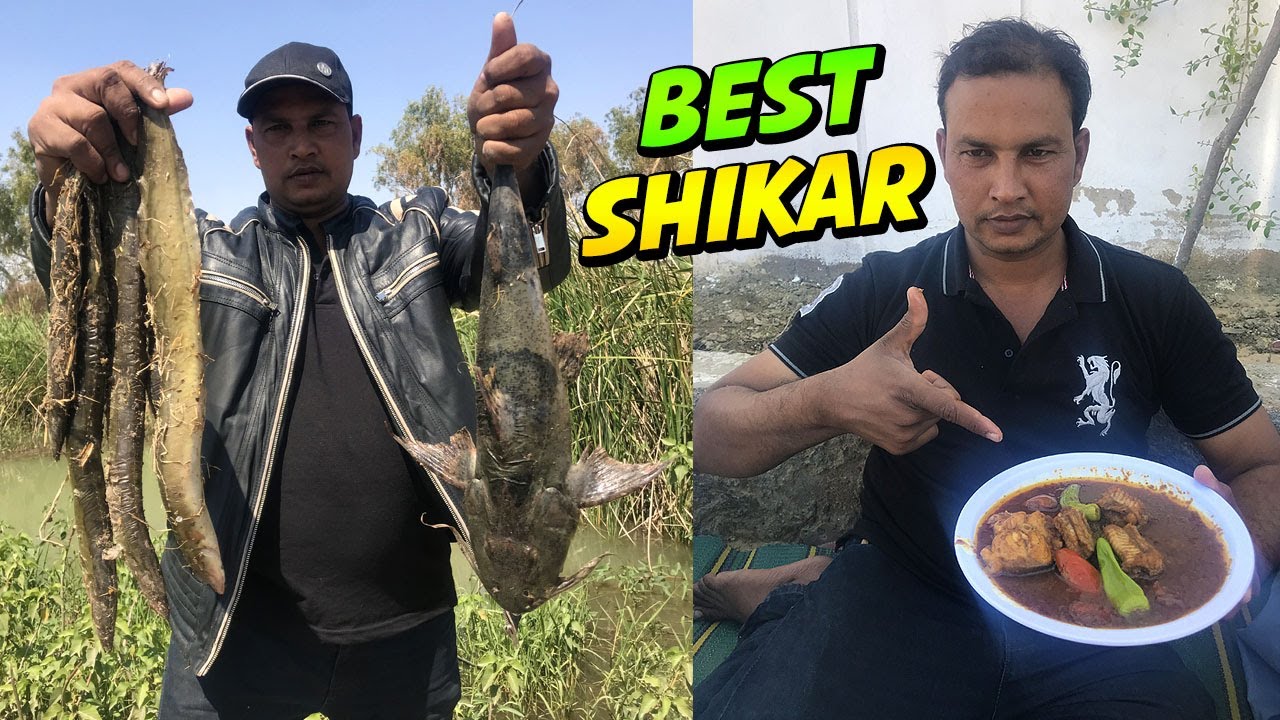 Baam Machli ka Shikar | Meethe pani ki fishing | Gharo Sakro fishing