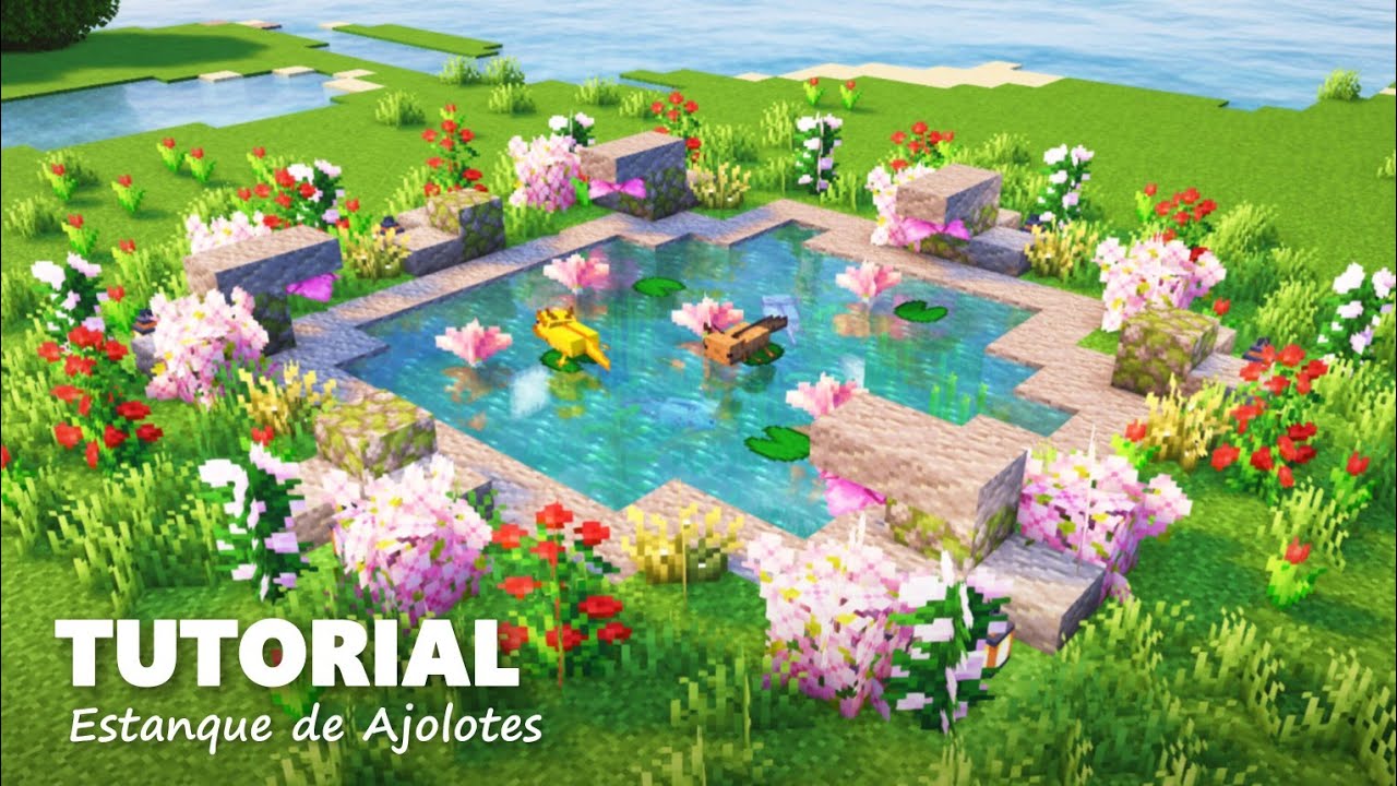TUTORIAL | Estanque de Ajolotes