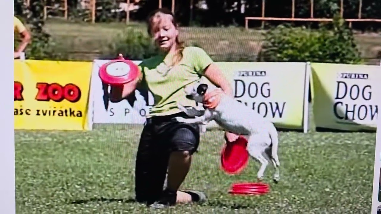 This Brave Dog Knows What's She Doing In This Frisbee Competition! 💯🥏[SLOW MOTION]