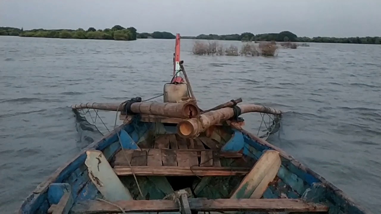 Proses mencari udang di laut