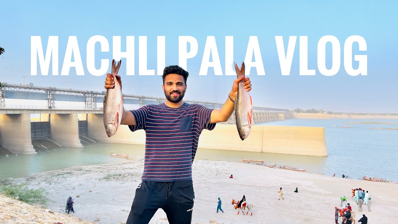 MACHLI PALA VLOG | UMAID | SINDHU DARYA | AL-MANZER JAMSHORO