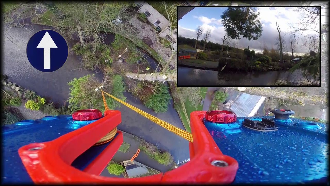 Birdland part 2 - Three Dimensional Speedlining Technique - English reeve