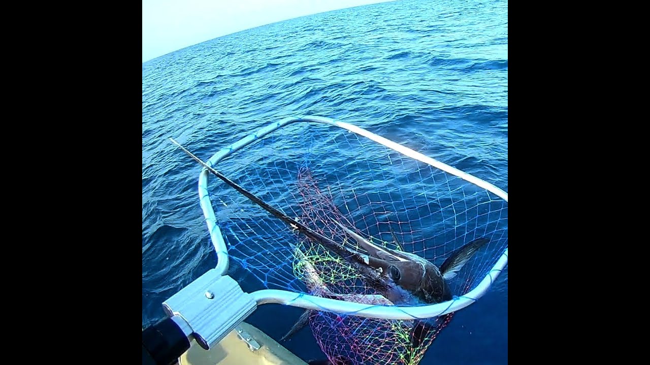 Alanyada canlı dip sırtı ile kılıç balığı yakaladık - pans marine tekne deneme ve balık avı