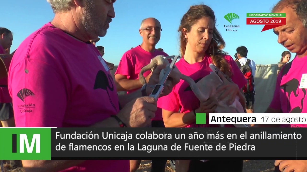 Anillamiento de flamencos en la Laguna de Fuente de Piedra · Fundación Unicaja · Agosto 2019