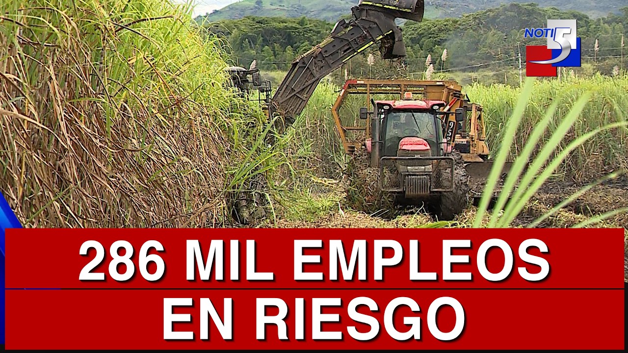 🔴 #ultimahora / 286 mil empleos en riesgo - 14 de Marzo de 2026