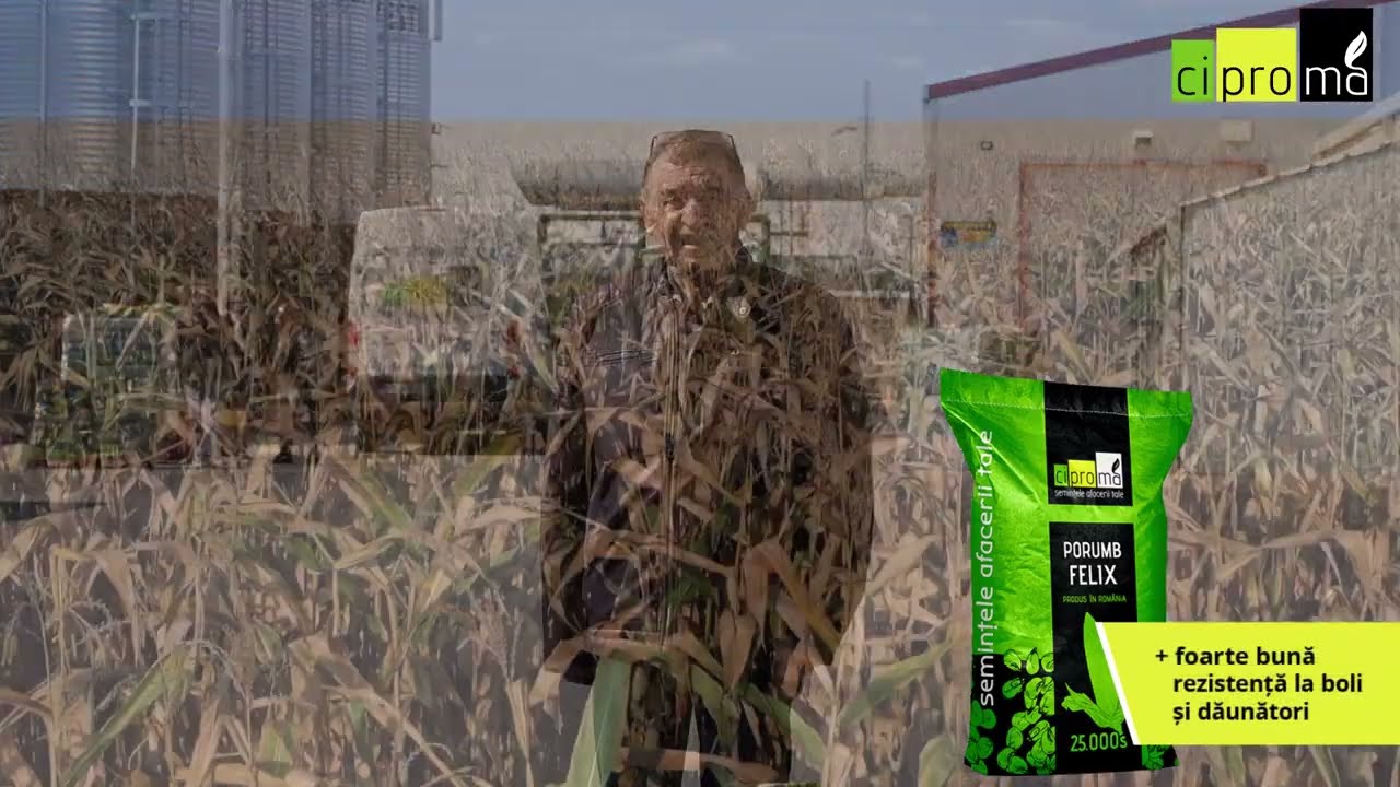 despre hibrizii de porumb FELIX și F475M, dl. Dr. ing. Grigore Oprea