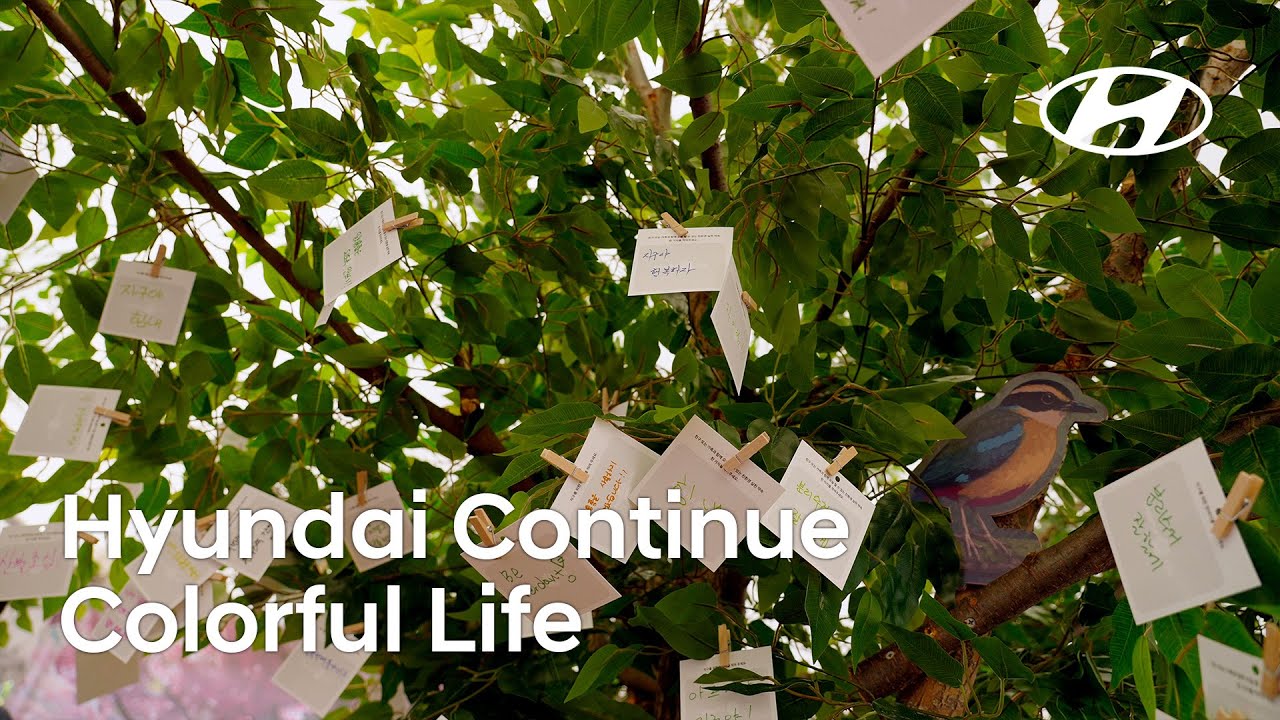 2025 Environmental CSV Campaign ‘Colorful Life’ | Hyundai Continue