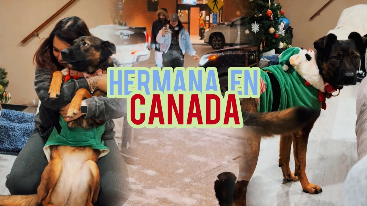 Mi hermana de visita en Canadá 🇨🇦 ✨ ¿trufa la reconoce? 