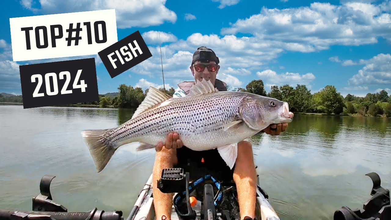 The best catches of the year
