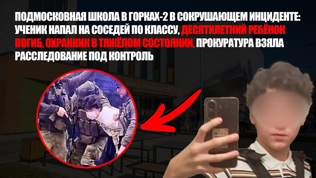ТРАГЕДИЯ В ГОРКАХ-2: УЧЕНИК НАПАЛ НА СОСЕДЕЙ ПО ШКОЛЕ, ОДИН РЕБЁНОК ПОГИБ