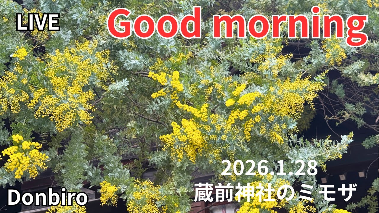 [出勤ライブ]スカイツリーから、浅草寺、蔵前神社まで歩く✨[Work Live] Walk from Skytree to Sensoji Temple and Kuramae Shrine✨