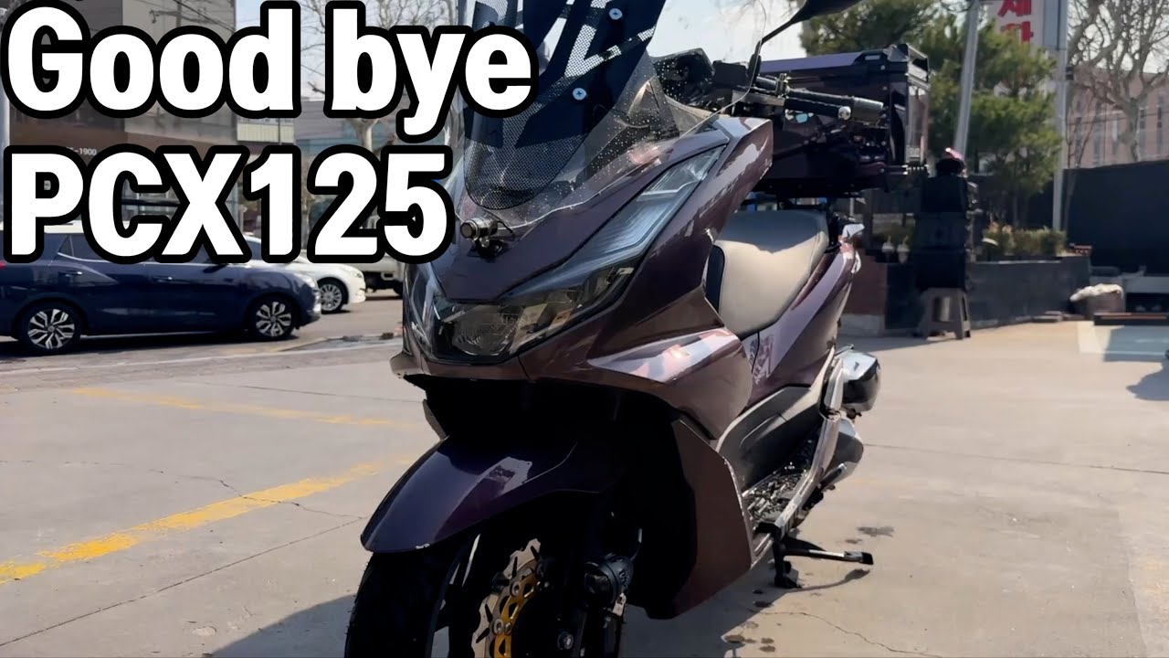 잘가라 피돌아!!! pcx125 폐지하기
