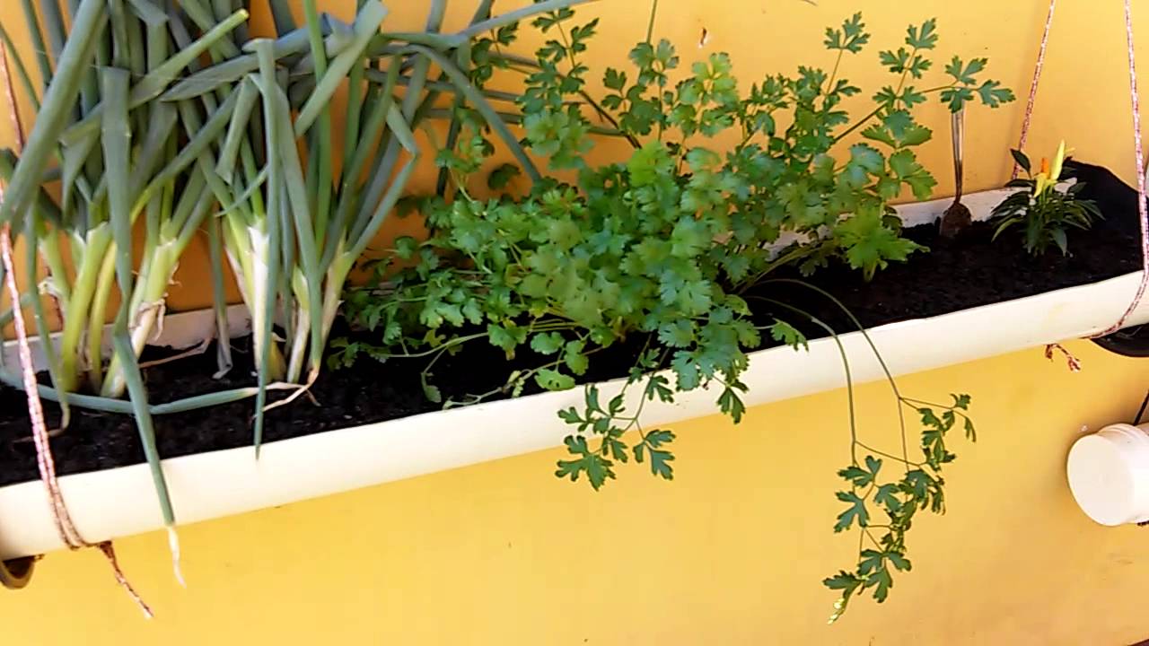 HORTA VERTICAL DE CANO DE PVC