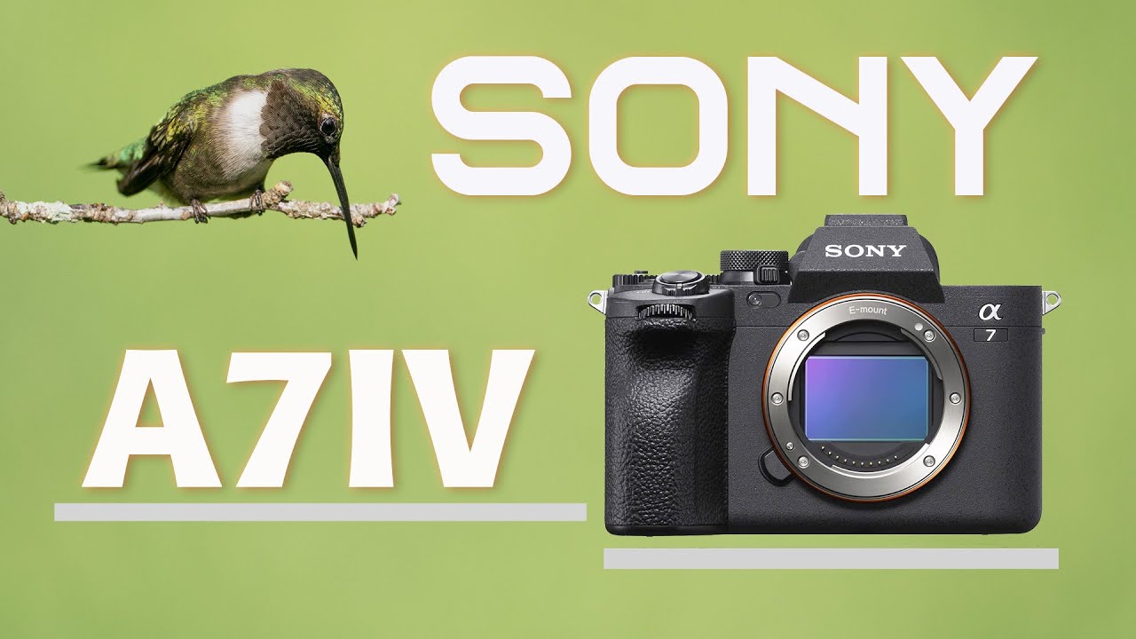The Best Camera that NOBODY is talking about!  The Sony a7 IV