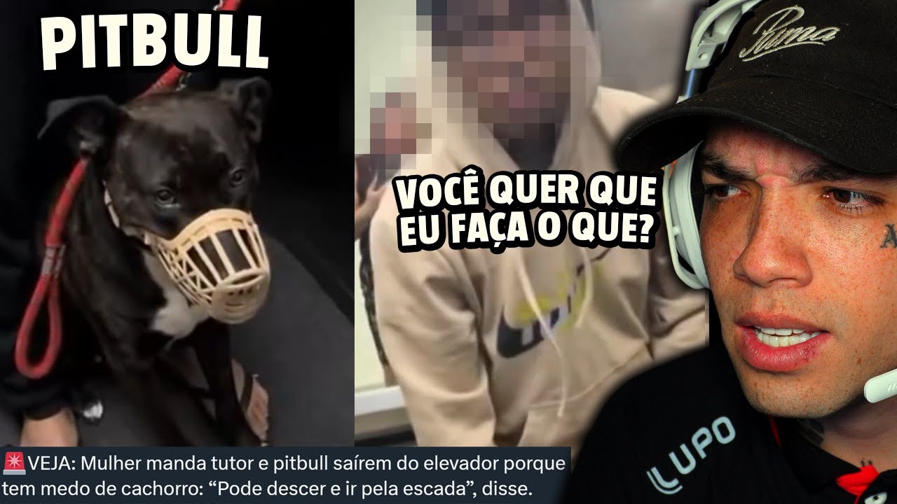 TRETA NO ELEVADOR: MULHER COM MEDO DE PITBULL MANDA PAI E FILHO IR DE ESCADAS