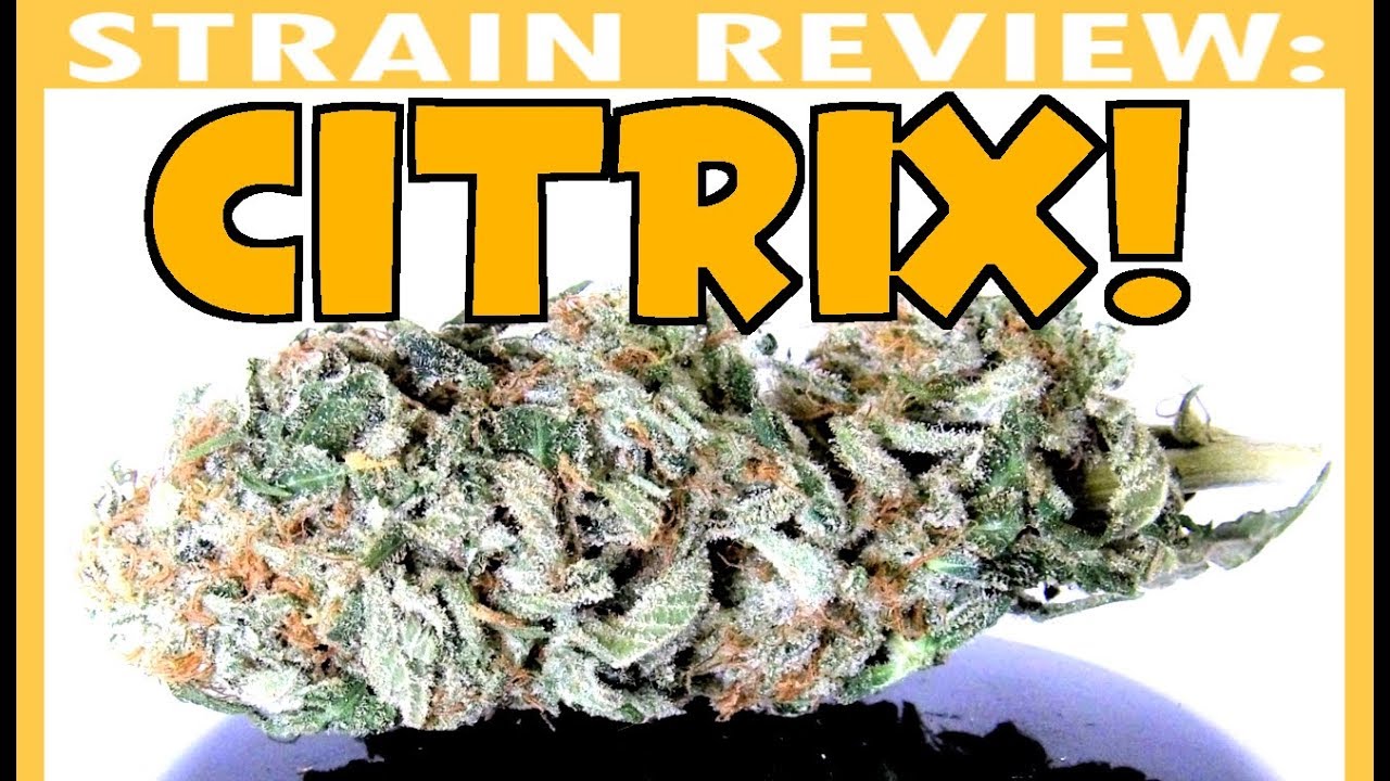 Strain Review: CITRIX