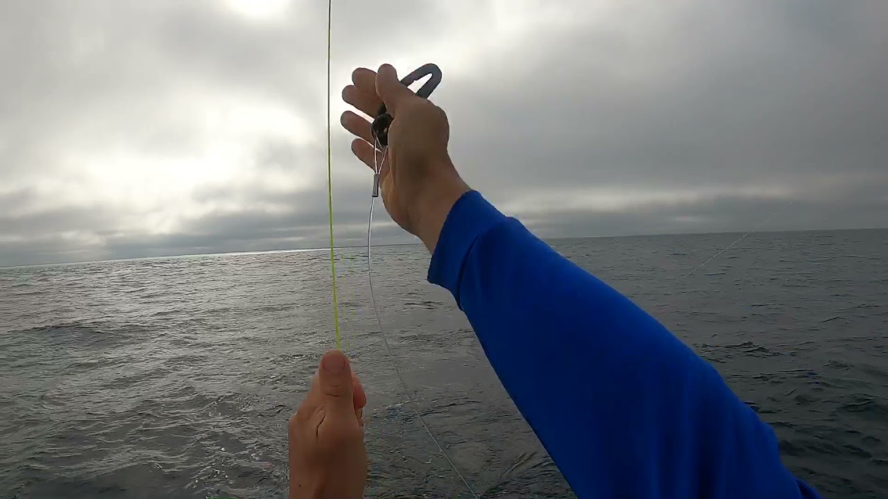 Deploying Two Baits Solo. West Coast Deep dropping for Swordfish.