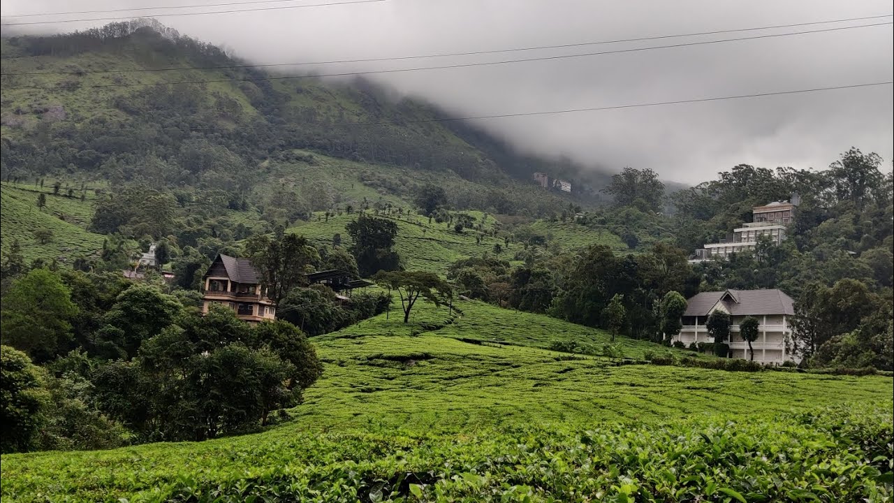 Living amidst the Tea Gardens Munnar : Hotel Tea Harvester