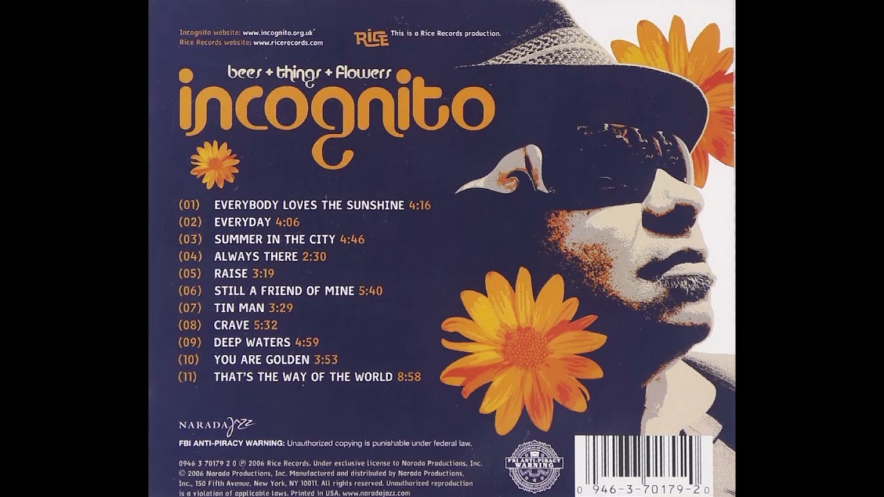 Incognito ft Tony Momrelle - You Are Golden