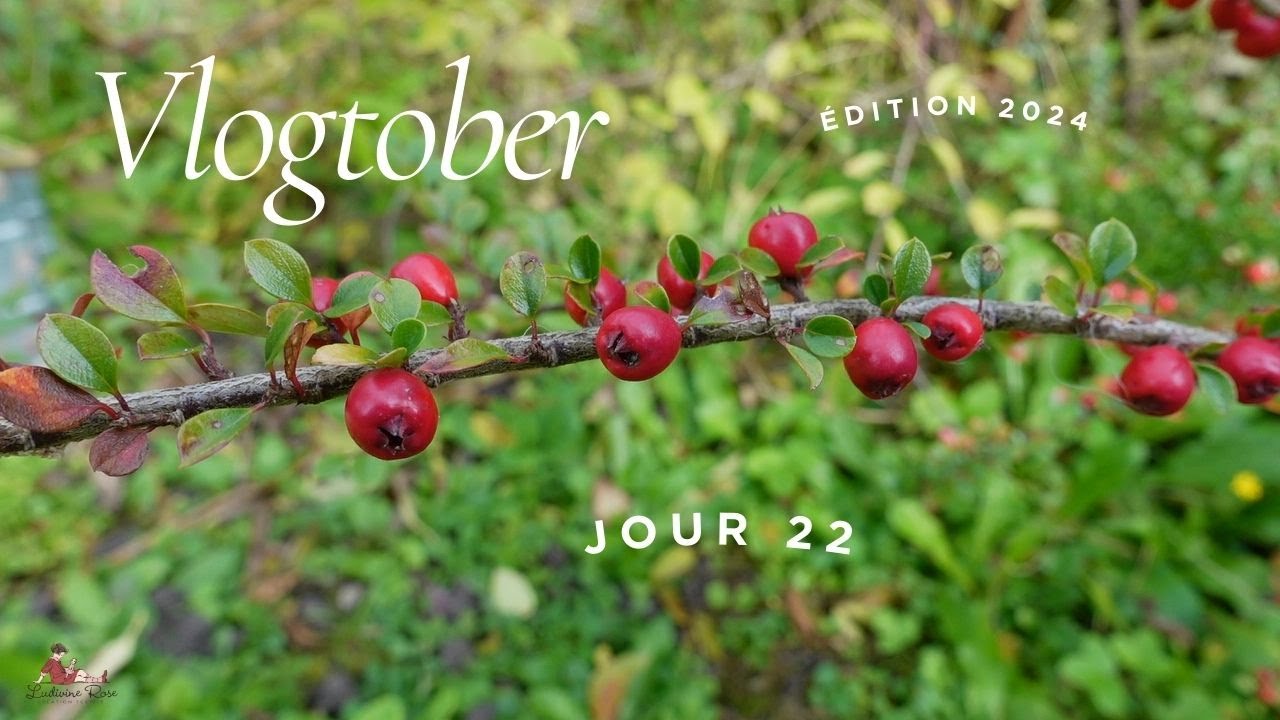 Vlogtober 2024 jour 22