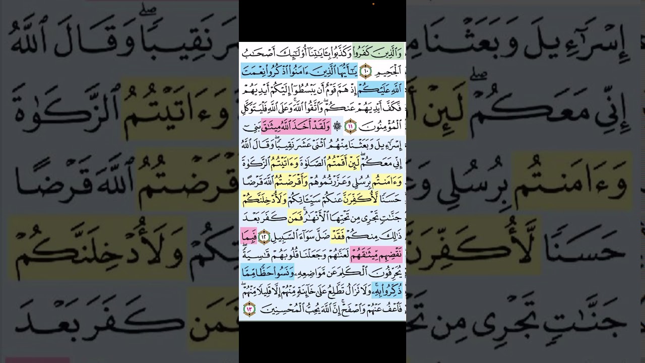 تربيطات ومتشابهات المائدة ١٢-٢٦