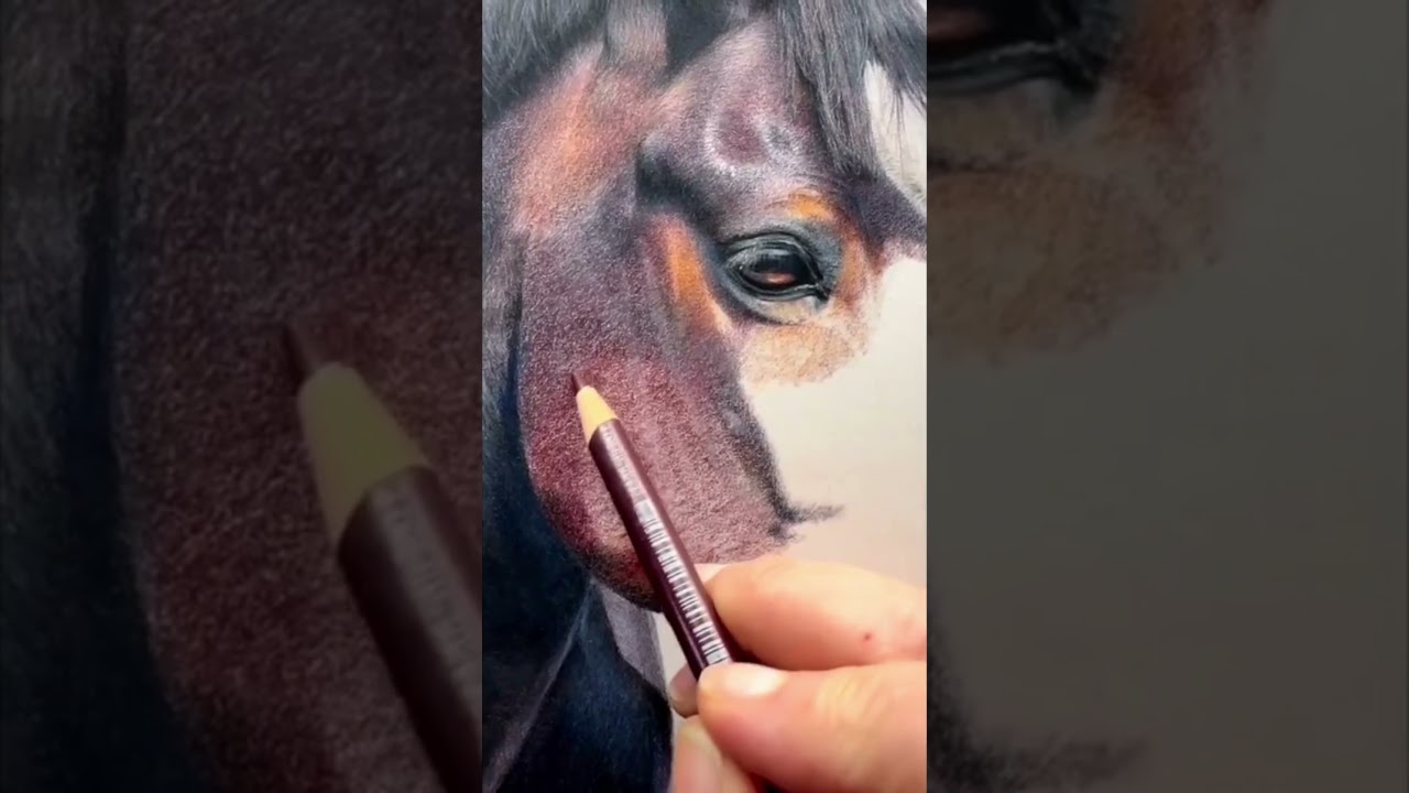 How to Create Rich and Realistic Fur | Tip from an Artist #bonnysnowdonacademy #artisttips #horseart