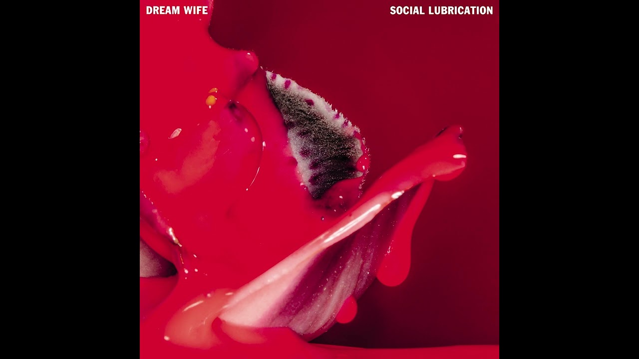 Dream Wife - Curious (Audio)