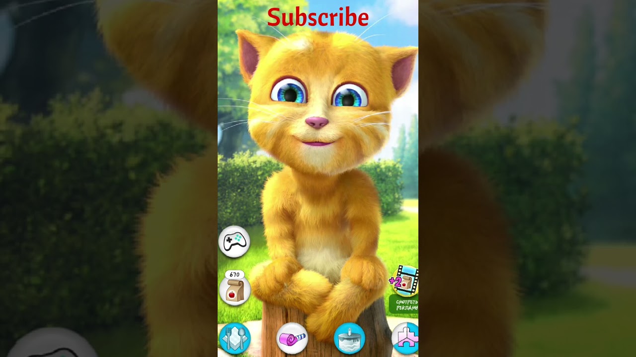 Talking Ginger Cat #shorts