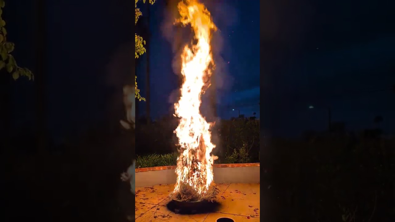 Ёлочка, гори &mdash; literally!