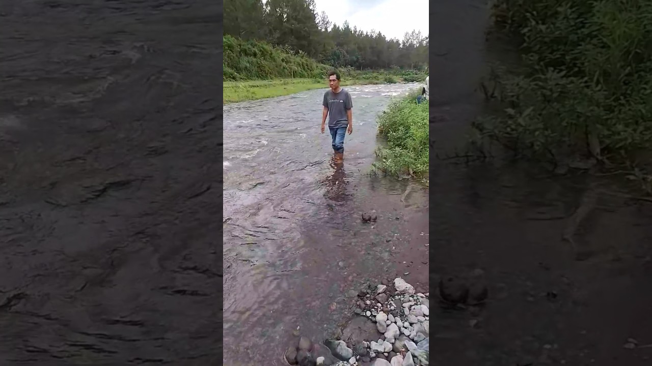 sungai suwiss songgon yang viral#wisatabanyuwangi