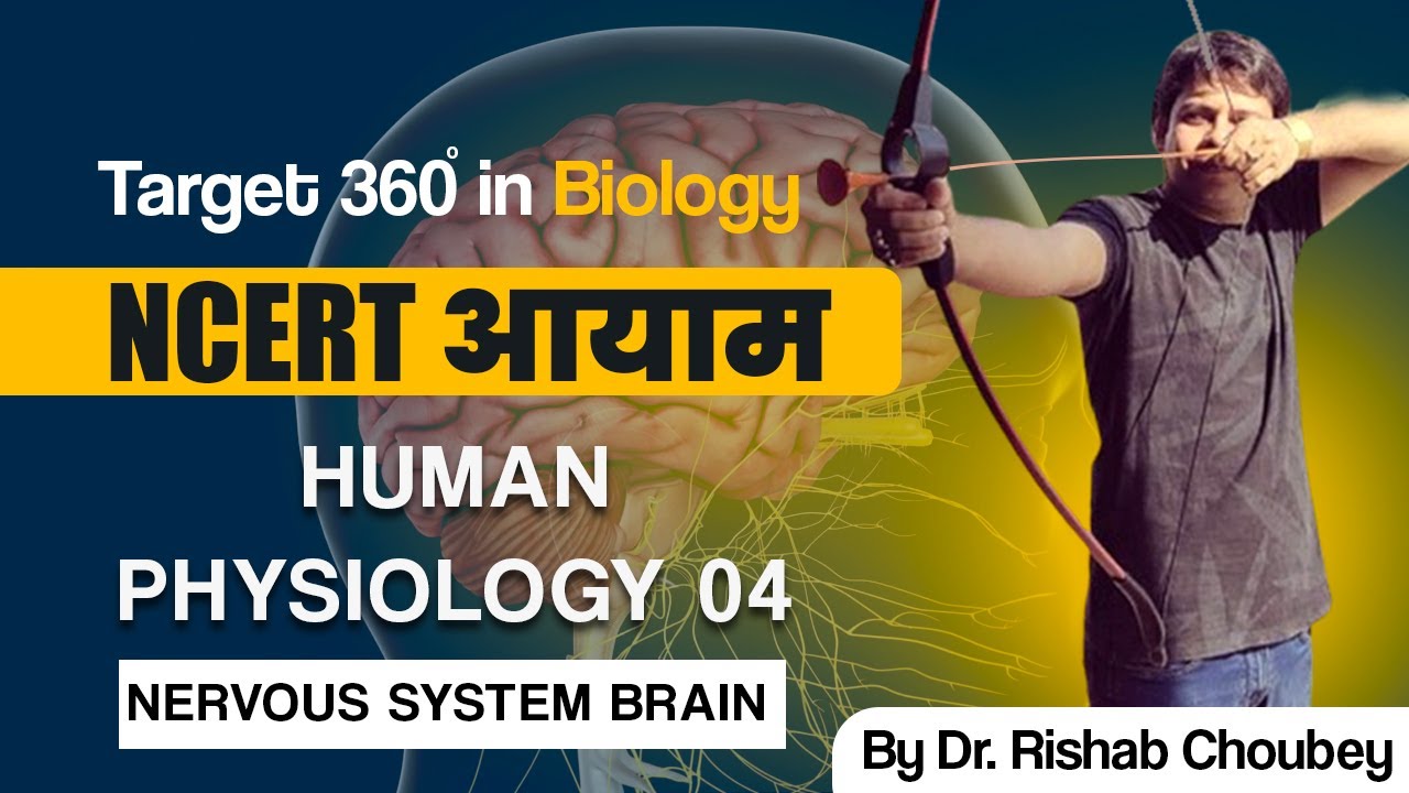 Human Physiology 4| NEET 2024 Preparation Biology By Dr Rishabh Choubey Sir | Bio Guru