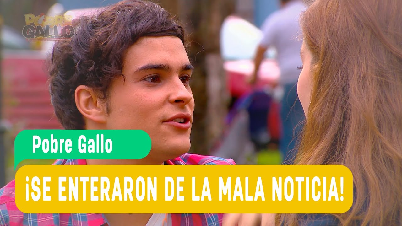 Pobre Gallo - Andrea y Borja ¡Se enteraron de la mala noticia! / Capítulo 113