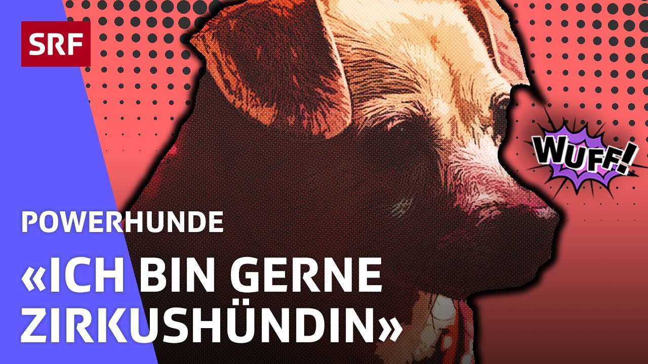 Camilla: Manege frei f&uuml;r die Zirkush&uuml;ndin | Powerhunde | SRF Kids &ndash; Kindervideos
