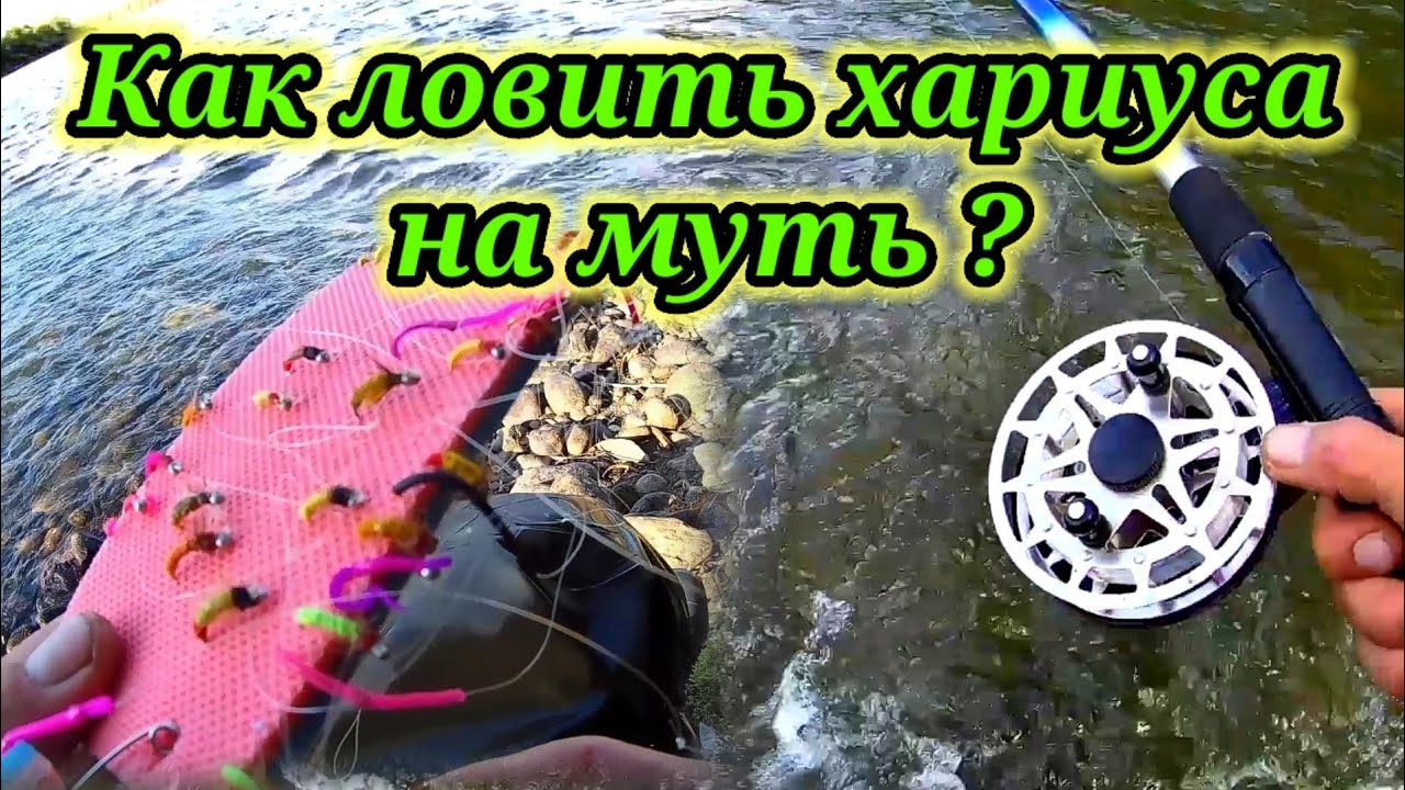 Как ловить хариуса на муть ?👆Рыбачу и объясняю.