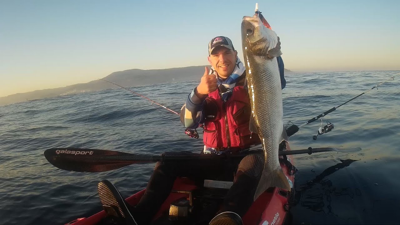 R&oacute;balo de 4 kilos a jigging desde kayak en Galicia. Asturkayak